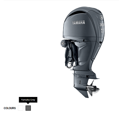 Screenshot 2024-07-01 122233 F300S